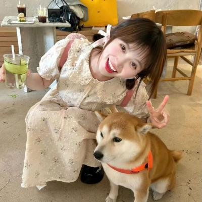 布杜落水遇救记