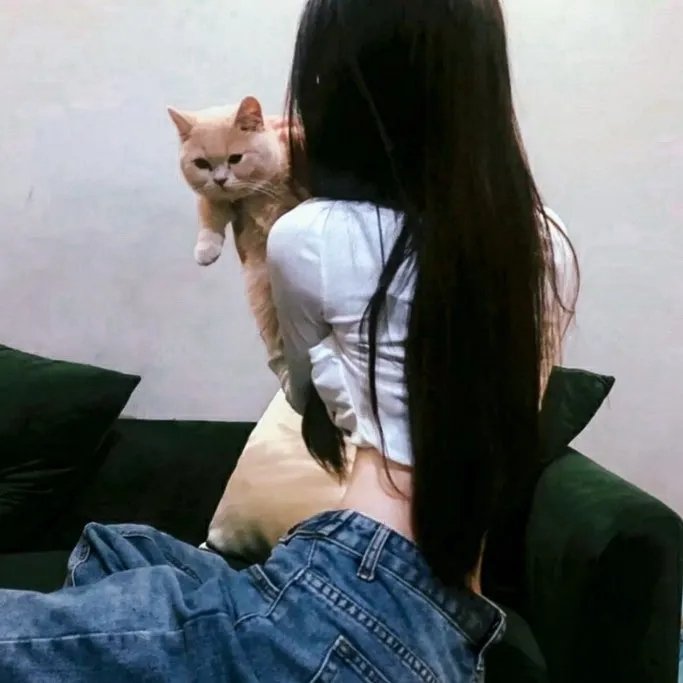 百粤风云
